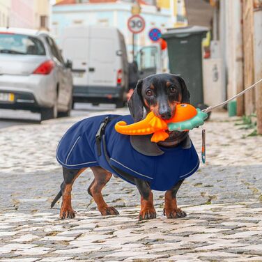 Водонепроникна зимова куртка для собак Дакель, тепла підкладка, дизайн як у светра, для мініатюрних такс при холодній погоді, прогулянках, снігу, активному відпочинку на природі - Синій XL