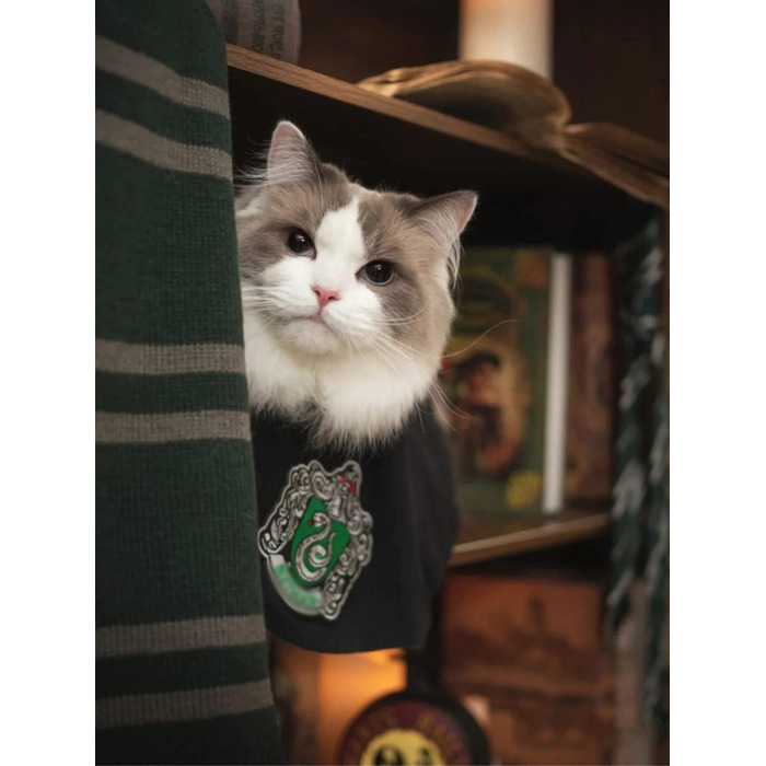 Костюм для собак та котів з окулярами та краваткою, косплей, Slytherin, розмір M