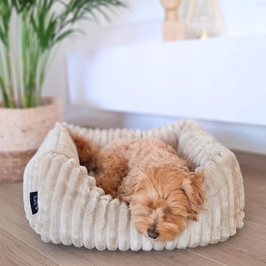 Плюшеве лежак для собак BELLA, 60x40 см, бежевий