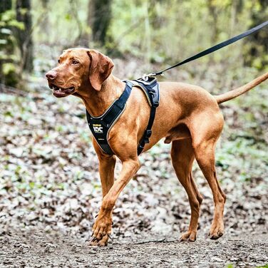 Шлея для собак IDC Longwalk, синьо-сіра, розмір M