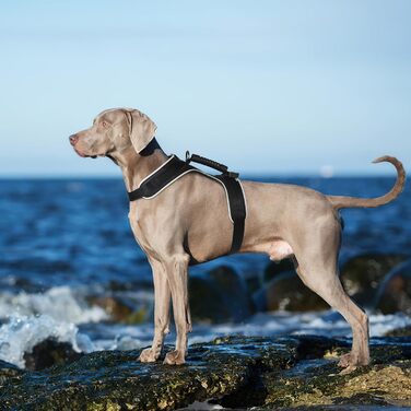 Світлодіодне обіднє нашийник для собак Masbrill, світловідбиваючий, з регулюванням, з ручкою, для малих, середніх та великих собак (Чорний/Червоний, S)