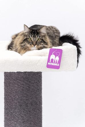 Дряпак для великих котів Petrebels Maine Coon 117 см, преміум-якість, стовпи 20 см, білий