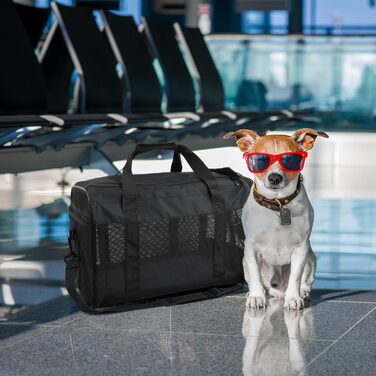 Транспортна сумка для кота/собаки Amexo, складана переноска для тварин, переноска для котів та собак середніх розмірів до 10 кг, 44 x 27 x 28 см (чорна)