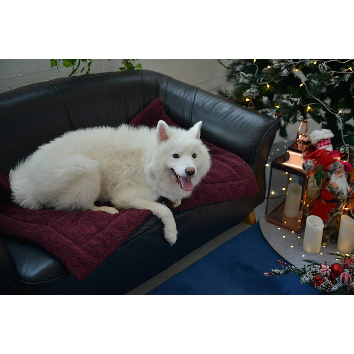 М'яка ковдра для собак та котів Raikou з плюшевою подушкою, 60x40 см, антиковзаюча, миється