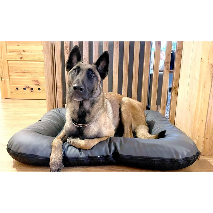 Крісло-ліжко для собак середніх порід Ella від 4L Textil: водостійке, з штучної шкіри, 90x70 см, графіт