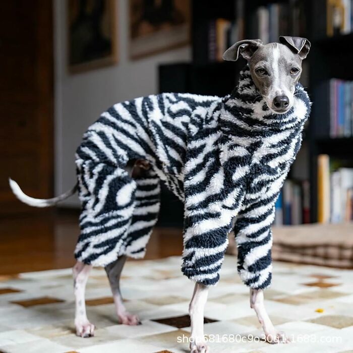 Теплий піжамний костюм для Whippet та інших середніх собак, чорний, 3XL
