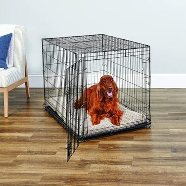 Кія Hundebox B30 - переноска для собак, 76 см, для малих порід, з піддоном, захистом підлоги та функціями, 109 x 72 x 77 см