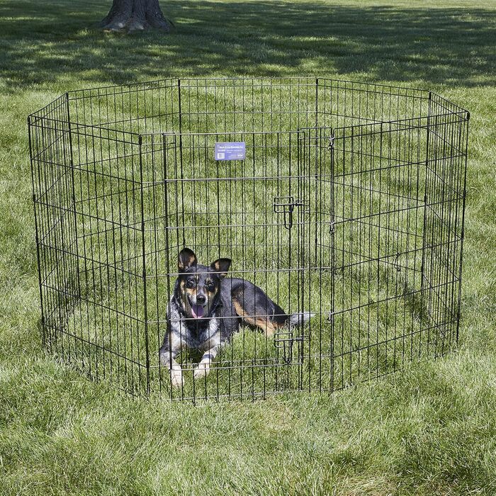 Клітка-загорожа для собак Midwest Homes for Pets 550-36DR, 157 x 157 x 91 см, чорна емаль, з дверцятами