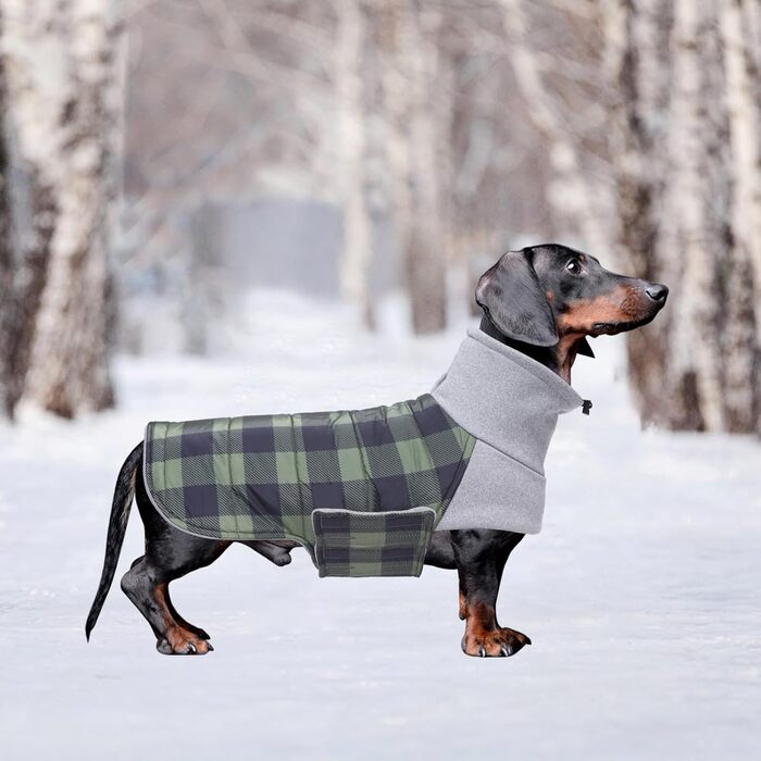 Зимовий теплий нашийник для собак Dachshund (Такса) від Geyecete, водонепроникний, з отвором для повідка, теплий пуловер для маленьких собак, червоно-зелений в клітинку (XS)