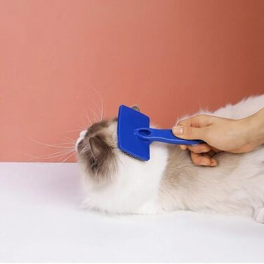 Бурштук для догляду за шерстю котів з довгим волоссям, щітка для собак і котів, гребінець для котів, щітка для грумінгу домашніх тварин, для кошенят, кроликів, інструмент для видалення шерсті, масажна чистка, розплутування, Rose red