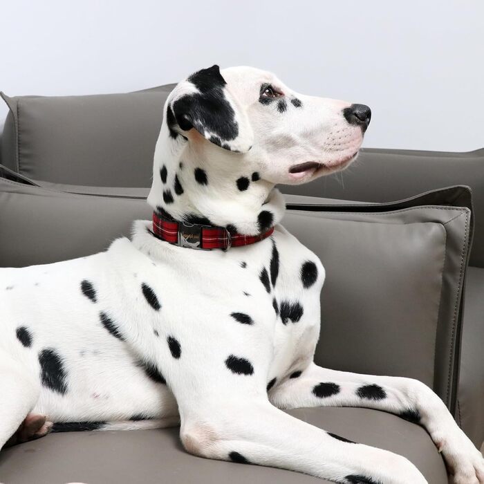 Комір для собак Unique Style Paws, регульований, м'який, зручний, клітинка, для малих, середніх і великих собак, обхват шиї 25,4–40,6 см