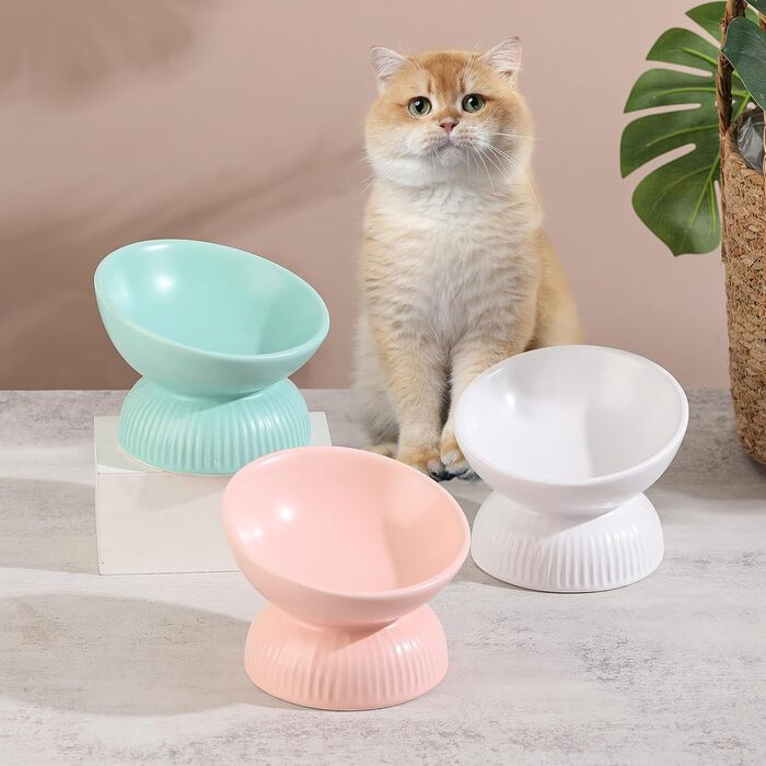 Підвищена годівниця для котів з кераміки - нахилена миска проти блювоти для котів - 280 мл, діаметр 15,5 см, біла