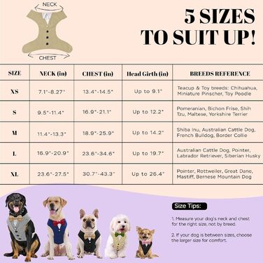 Smoking для собак: стильний костюм для собак середніх та великих порід XL. Костюм для свят, вечірок, косплею, Хелловіну, весілля. Бежевий smoking з рожевою краваткою.