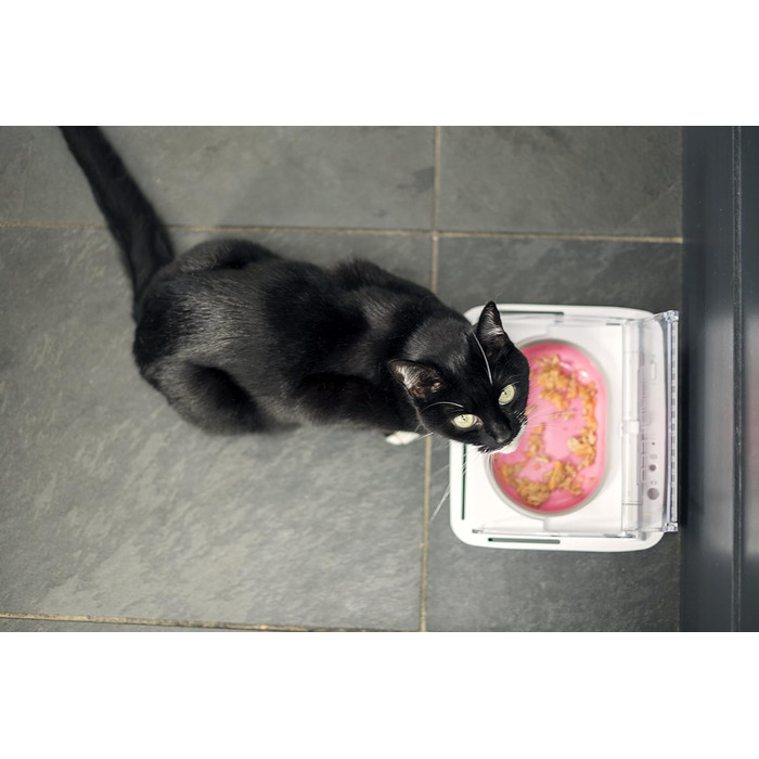 Sure Petcare SureFeed годівниця для котів та маленьких собак, автоматична, герметична, біла