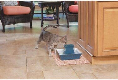 Керамічний фонтан PetSafe Drinkwell Pagoda для води для собак і котів, з фільтром, 2 л, синій