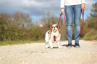 EzyDog Zero Shock Lite повідок для малих собак, 120 см, фіолетовий, з амортизатором, відбивний, еластичний