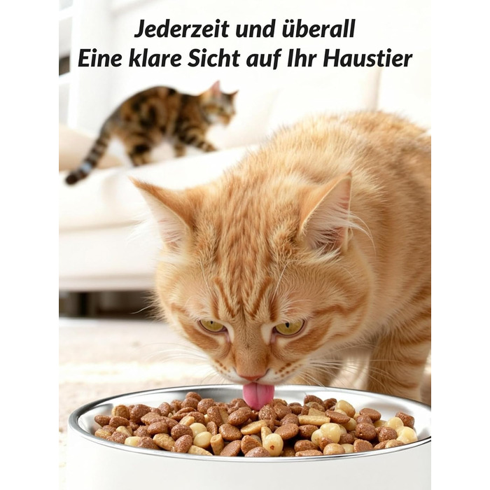 Автомат годування котів з камерою, розумний автомат для котів, 5л, 1–6 прийомів їжі для котів та тварин середніх розмірів з відео