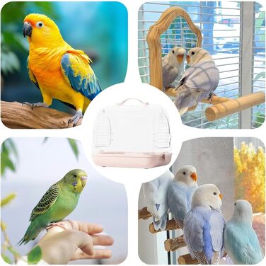 Трансформер для перевезення птахів Nymphensittich: рюкзак-переноска для птахів, прозорий клітка, м'яка переноска, клітка для подорожей з птахами | Переноска для птахів на відкритому повітрі, знімна переноска для хом'яків, прозора переноска для домашніх тв