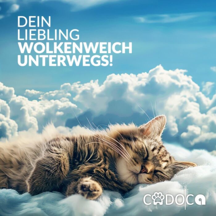 Рюкзак для тварин CADOCA® до 20 кг, сірий: зручний рюкзак-переноска для собак та котів
