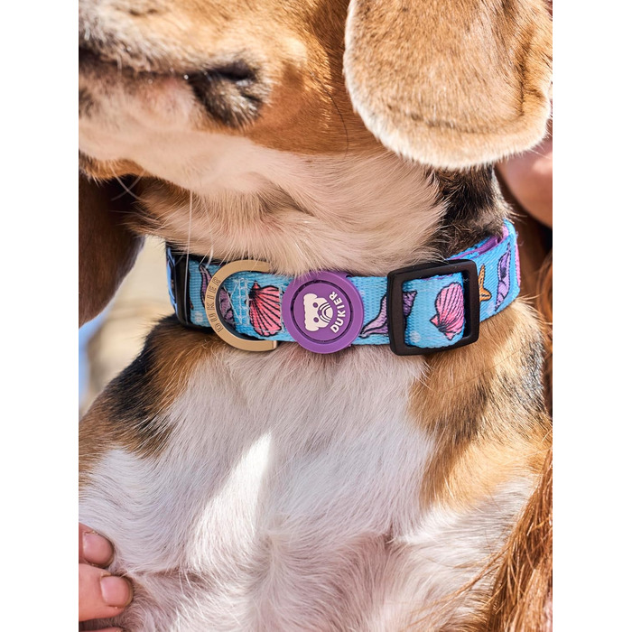 Нашийник для собак DUKIER, регульований, з неопрену, міцний, дизайн 