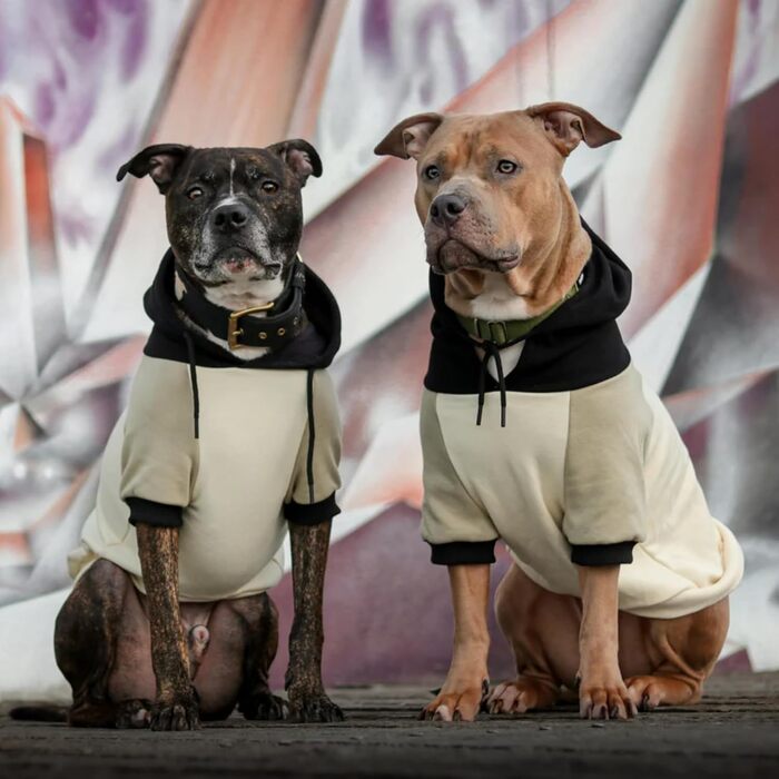 Собачий худі Spark Paws Olive Cream S – преміум якість, м'який фліс, комфорт, для всіх порід