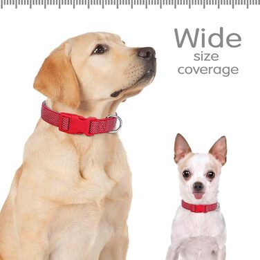 Світловідбиваючий нашийник для собак Didog з пряжкою, регульований, м'який неопрен, з підкладкою, нейлон, для собак маленьких, середніх та великих порід, L (M: обхват шиї 25-43см, червоний)