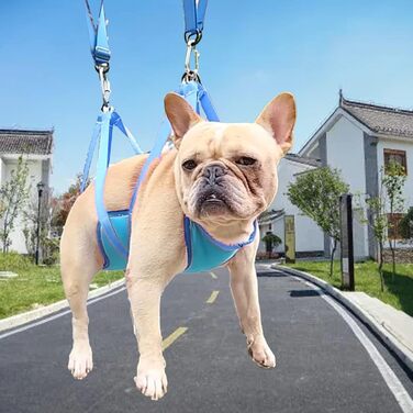 Набір гамаків для домашніх тварин DGLDCSHUAI, дихаючі, запобігають натиранню, регульовані ремені, шлейка для собак маленьких порід (L), блакитний