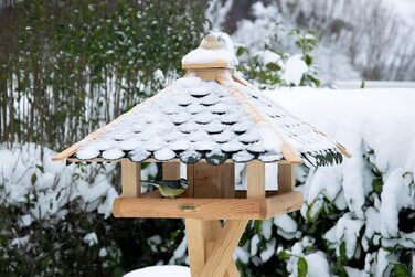 Кормушка для птахів Dobar® 44256e - дерев'яна годівниця для птахів з бітумним дахом, годівниця-вілла на ланцюжку, для саду/тераси/балкону, 39 x 39 x 30 см, зелений прямокутник