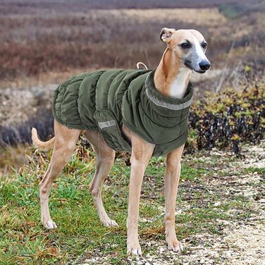 Легкий теплий дощовик для собак великих та середніх порід, нейлон, блакитний, 3XL