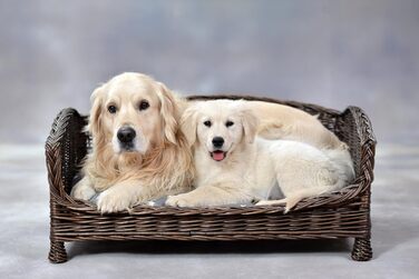 Корзина для собак та котів з плетіння лози з м'яким лежаком, коричнева (74x52x39 см)