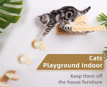 Сходинка для котів DaizySight на стіну: комплекс для лазіння, ігри та відпочинку (2 циліндри)