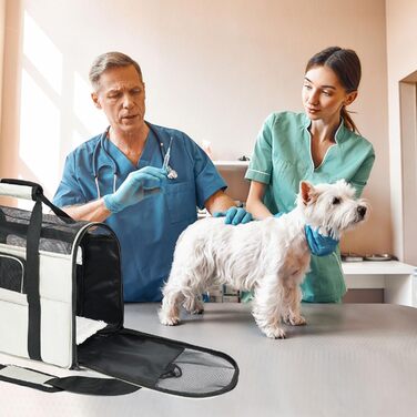 Транспортна сумка для котів та собак, дихаюча та складна, з регульованим плечовим ременем, знімний плюшевий матрац (Бежева, M)