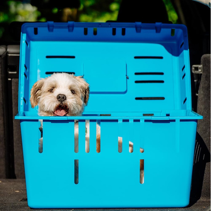 Транспортний бокс для тварин Pet Caddy II, кольоровий, 55x37x33 см