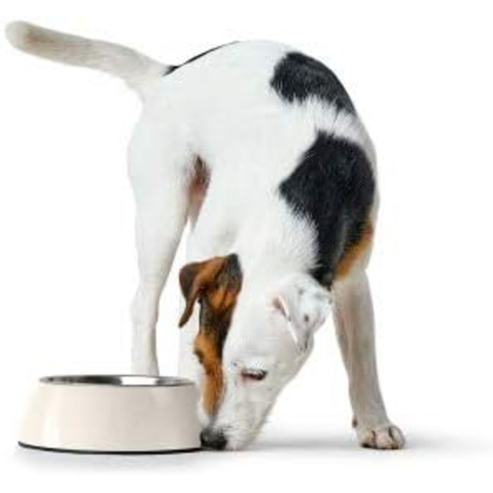 Миска HUNTER Melamin, petrol, 350 мл, з нержавіючої сталі, неслизька, стійка до подряпин та ударів, легко миється, для посудомийної машини