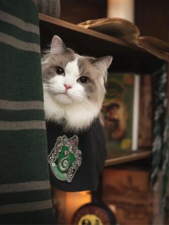 Костюм для собак та котів з окулярами та краваткою, косплей, Slytherin, розмір M