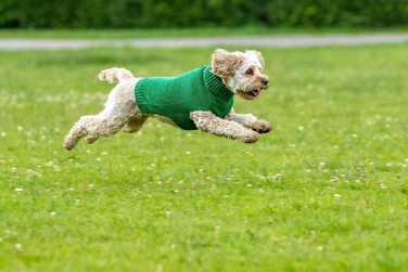 Пуловер CHIARA Ellie CHP-403GN-L, світшот, толстовка, зелений, розмір L, 100% поліестер