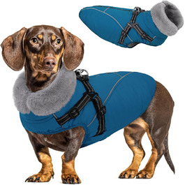 колір: коельнблю