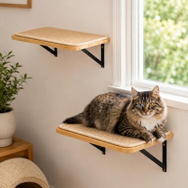 Комплект настінної драбинки для котів Katzen Kletterwand з 4 рівнями: 2 сходинки та 2 майданчики для сну, соснове дерево, настінне кріплення