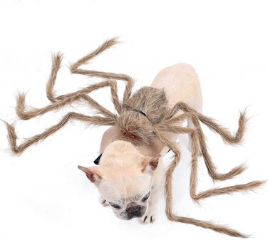 Костюм на Хелловін для тварин BT Bear: Павук, для собак, коричневий, розмір M