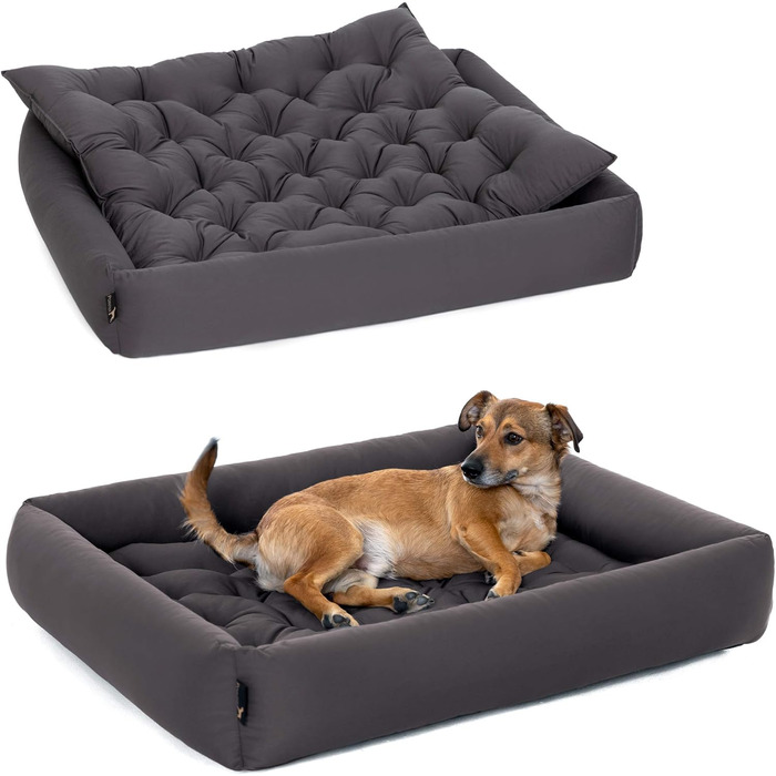 Ортопедичне ліжко для собак середнього розміру - ліжко з знімним матрацом, прання до 95°C, сушка в сушильній машині, стійке до подряпин та укусів, Made in Germany (XXXL - 110x100 см, Антрацит)