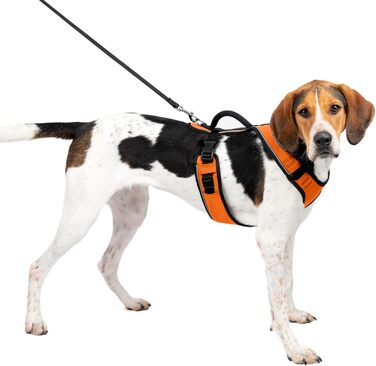 Шлея для собак PetSafe EasySport, регульована, з м'якою підкладкою, контрольна ручка, світловідбивна, помаранчева, розмір L