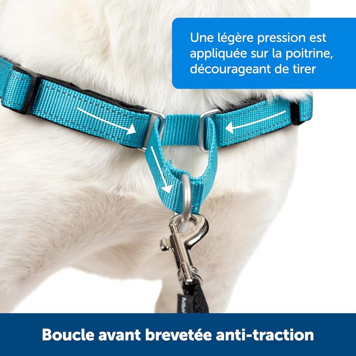 Шлейка для собак PetSafe Easy Walk Deluxe, велика, океансько-блакитна/чорна, з лінією 1,8 м, міцна, з м'якою підкладкою