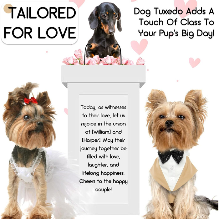 Костюм для собак, бандана, аксесуари для святкування: весілля, день народження, Хелловін (XXL, шампань)