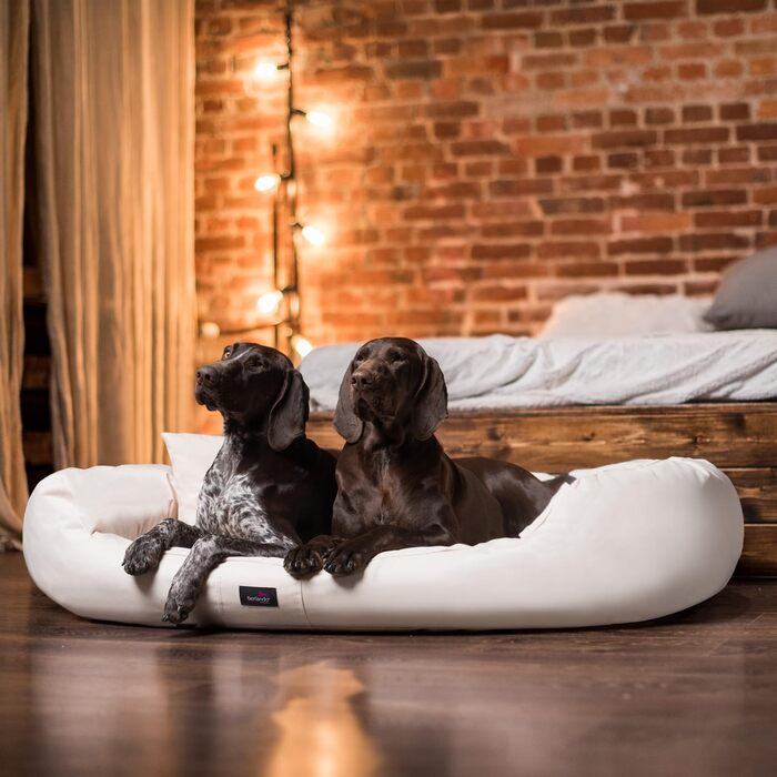 Ортопедичне ліжко для собак Tierlando® ARES з поліестеру з вийманою віскоеластичною матрацом 125x105 см, колір: кремовий