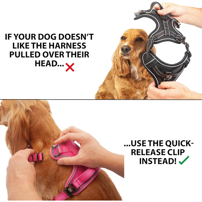 Elite Paws® UK: Преміум шлея для собак з металевою пряжкою, міцна, безпечна, м'яка, зручна, регульована, відбиваюча, кріплення для повідка спереду і ззаду, м'яка ручка