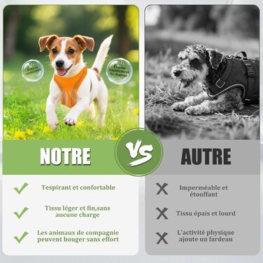 Нашийник для котів Qianruida з повідком, регульований, зручний, дихаючий, світловідбиваючий (Помаранчевий, XS)