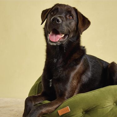 Ліжко для собак Roewood x Joule Chesterfield, маленьке, розкішне, з антиковзким дном, додатковою підкладкою та підтримкою, у стилі Chesterfield, зручне місце для відпочинку (хакі, 70 x 70 x 27 см)