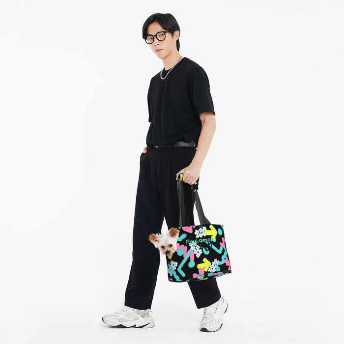 Сумка-переноска для котів та собак Paylamon, складана, для подорожей, з графіті