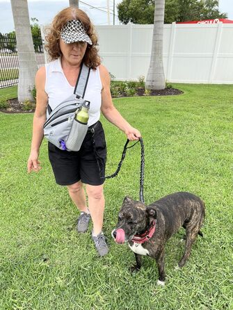 Сумка для тренування собак Paw Leckerli, сіра, стандартна (1 шт.)