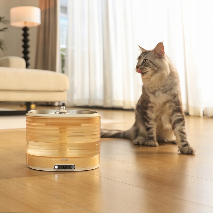 Автоматична питна фонтан-поїлка Enabot, пластикова, золотиста, 2 л